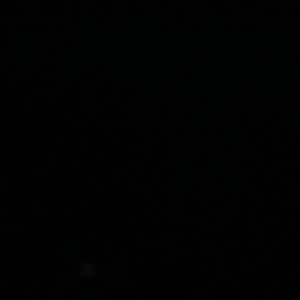 Meet your Posher, Terry